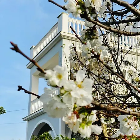 Διαμέρισμα Theros Πλάνος