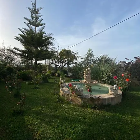 Theros * Planos (Zakynthos)